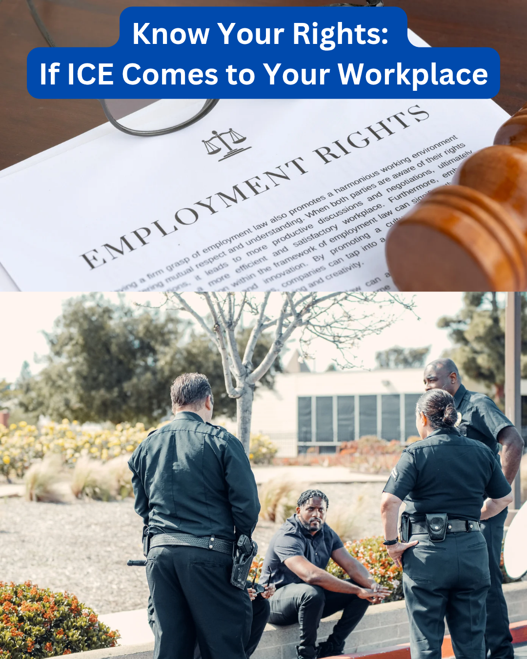 Know Your Rights: If ICE Comes to Your Workplace - Peri Edelman - NYC ...